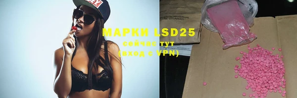 ECSTASY Каменногорск